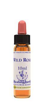 Wild Rose 10 ml Bach Flower Remedies