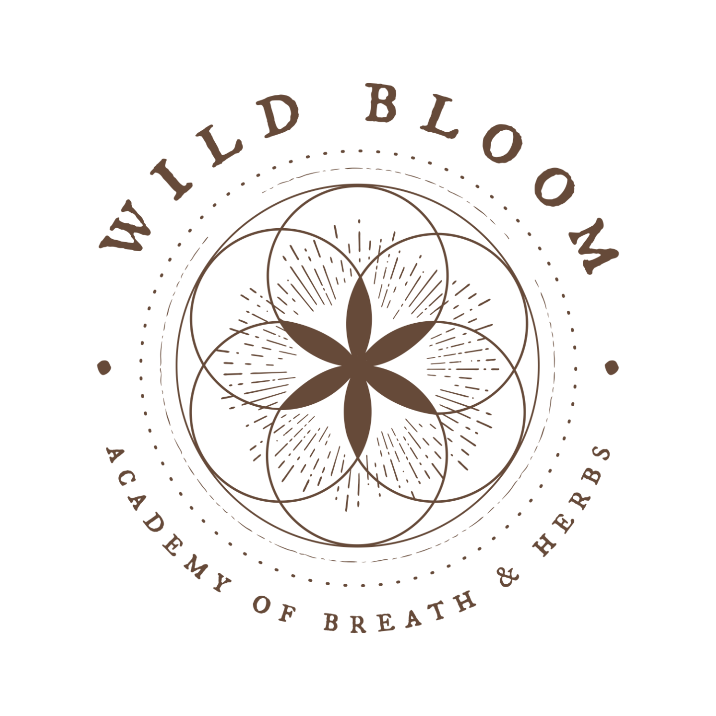 Wild Bloom Solarplexus chakra Paket - Läkemalva, Johannesört, Rosenrot